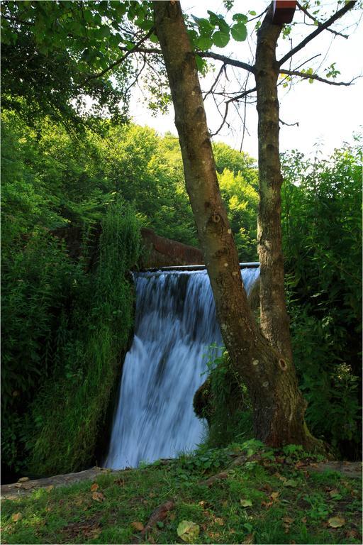 Fruktarium Vendeghaz Otel Trizs Dış mekan fotoğraf