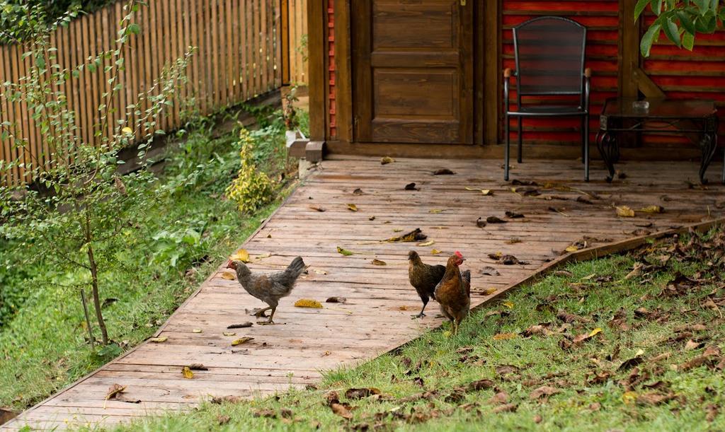 Fruktarium Vendeghaz Otel Trizs Dış mekan fotoğraf