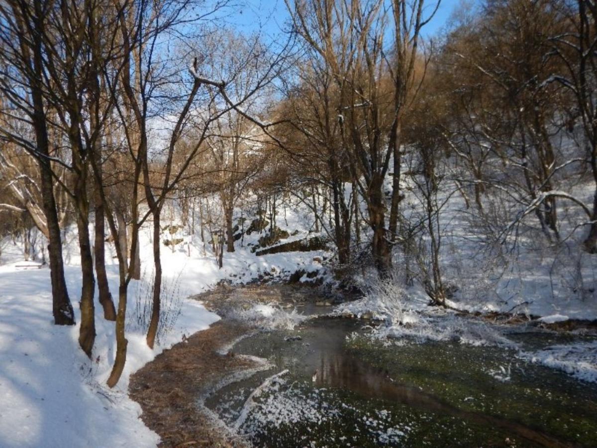 Fruktarium Vendeghaz Otel Trizs Dış mekan fotoğraf